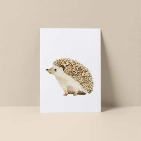 Kaartenset Bosdieren Aquarel - voordeelset - Afbeelding 7