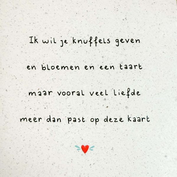 Kaart – Ik wil je knuffels geven – Happy Little Moment - Afbeelding 2