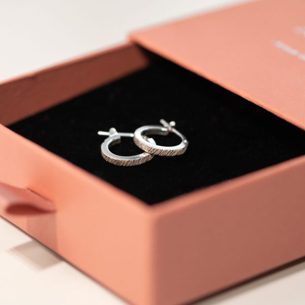 Anouk-Goudsmid-creolen-zilver-alsjelieft