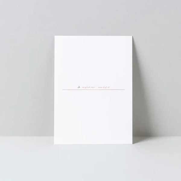 bloemen-ballon-altijd-kaart-luchtballon-liefs