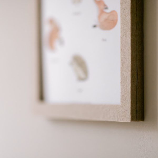 bosdieren-poster-fotolijst-powders-hazel-2