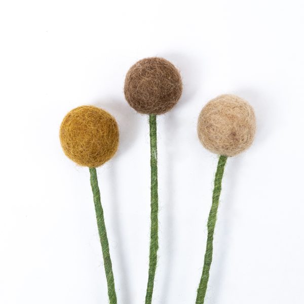 craspedia's-gingerbread-3-st.-deatil