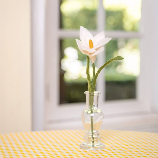 krokus-wit-sjaal-verhaal