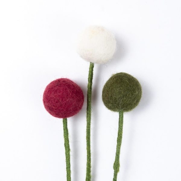 sjaal-verhaal-bloem-craspedia-s-holly-berry-3-st