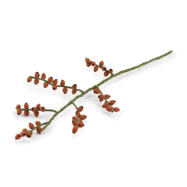 sjaal-verhaal-bloem-tak-bes-rozenbottel