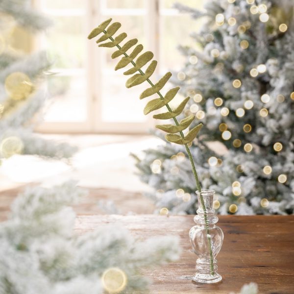tak-eucalyptus-lichtgroen-sjaal-verhaal