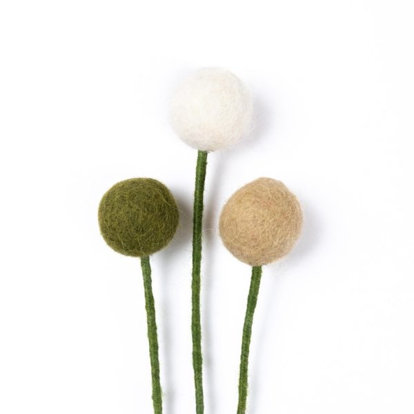 vilten-bloem-craspedia-set